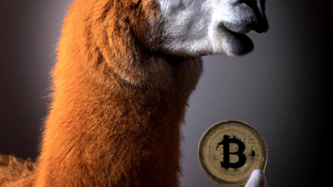 llama explaining bitcoin